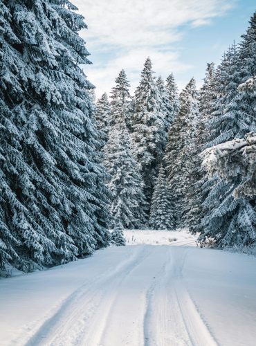 pexels-weekendplayer-1978126